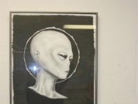 Roswell NM May 2008